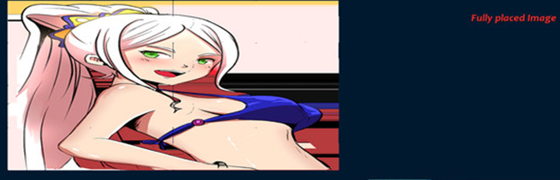 Nippon Ecchi Jigsaw cover art
