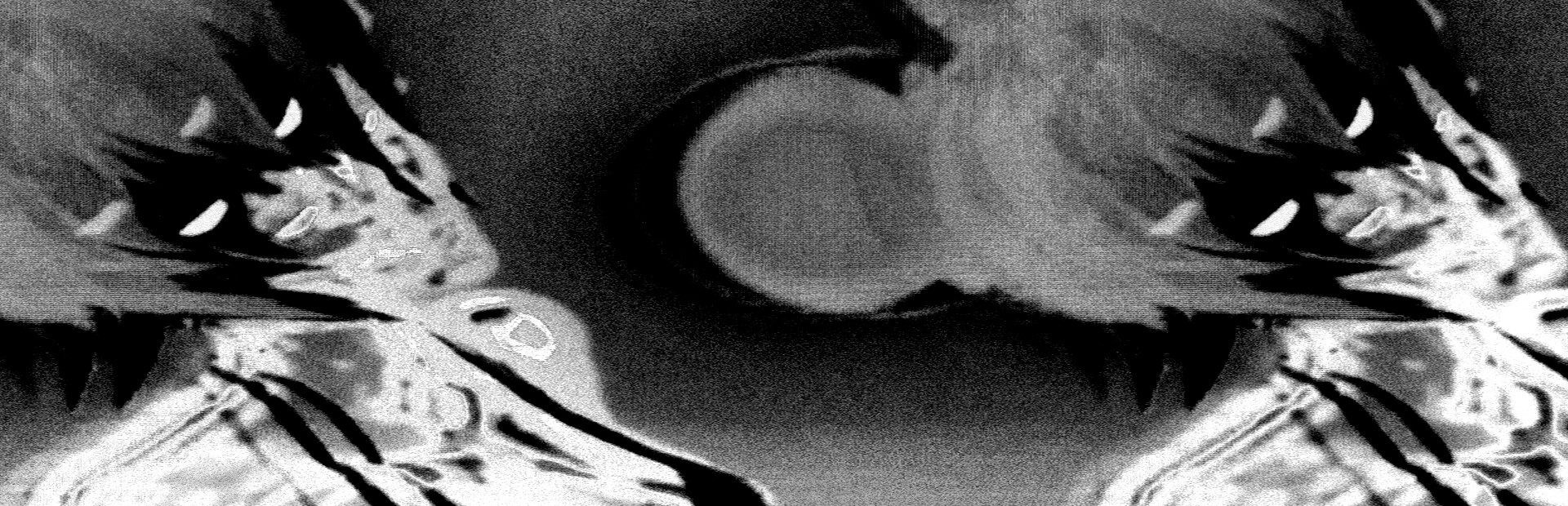 No longer human cover art