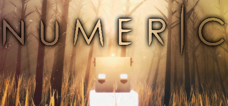 NUMERIC cover art
