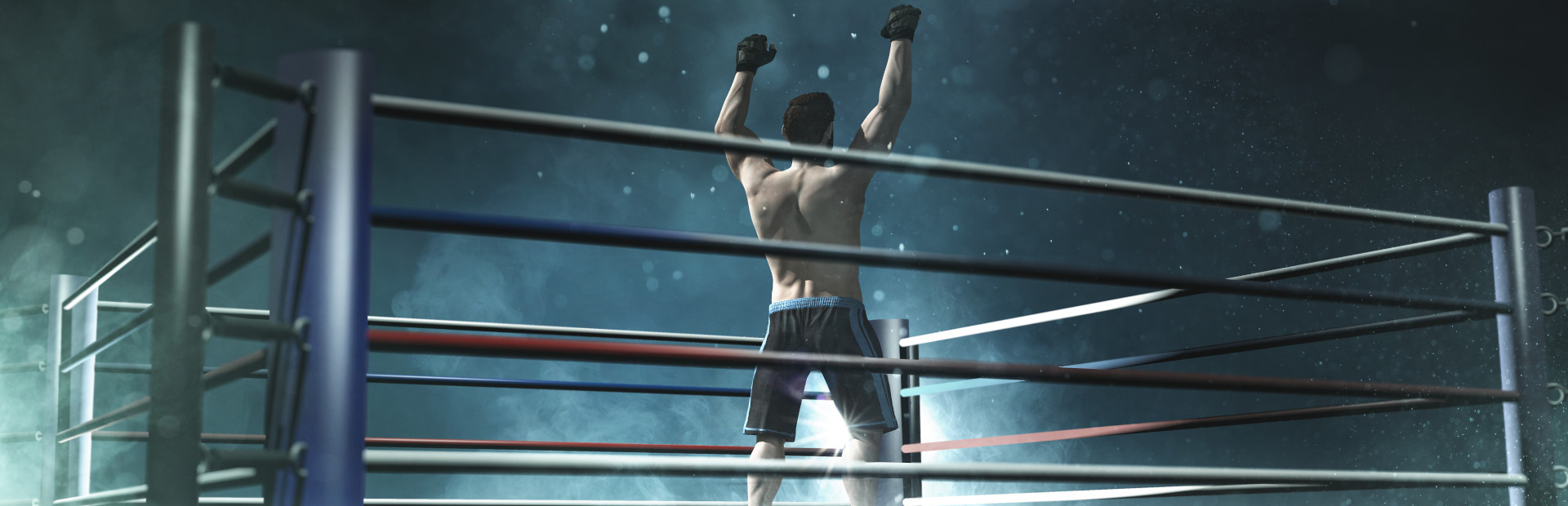 Olympic Boxing cover art