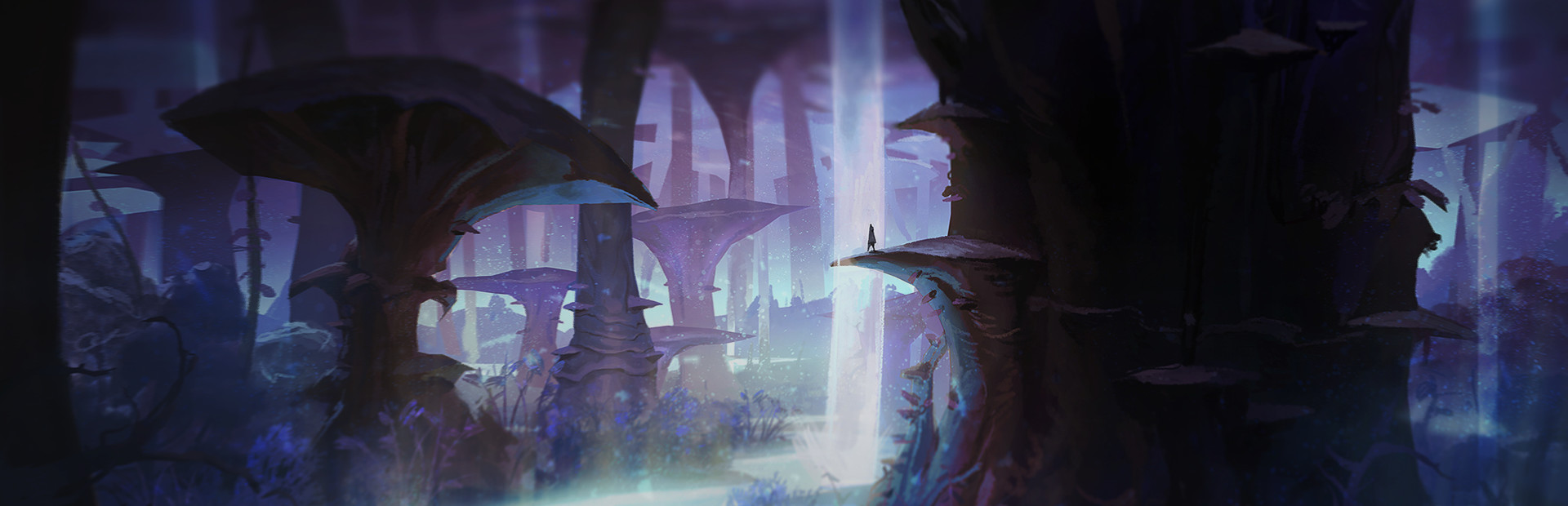 Path of the Sramana cover art