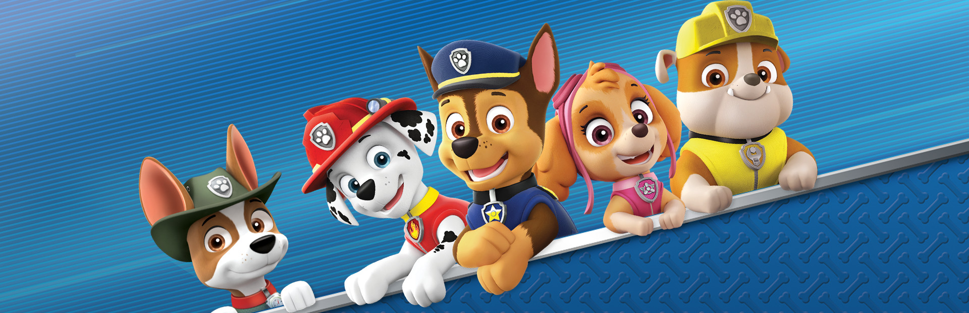 Paw Patrol: On A Roll cover art