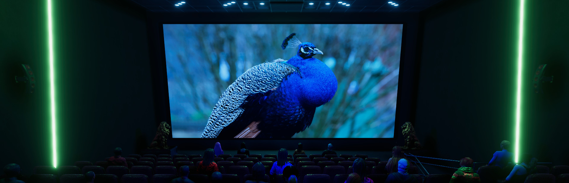 Phoenix Pro Theater Media Player cover art
