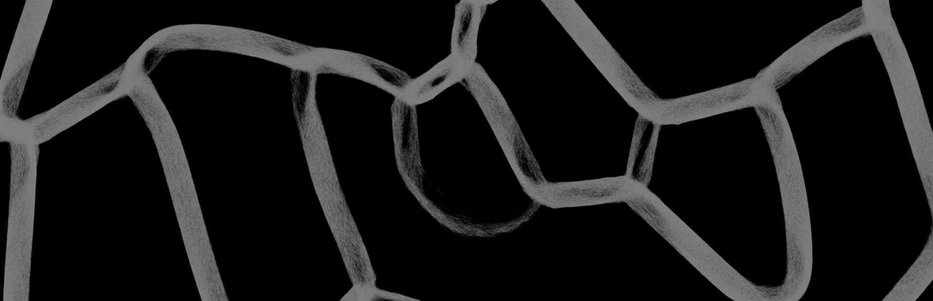 PHYSARUM: Slime Mold Simulator cover art