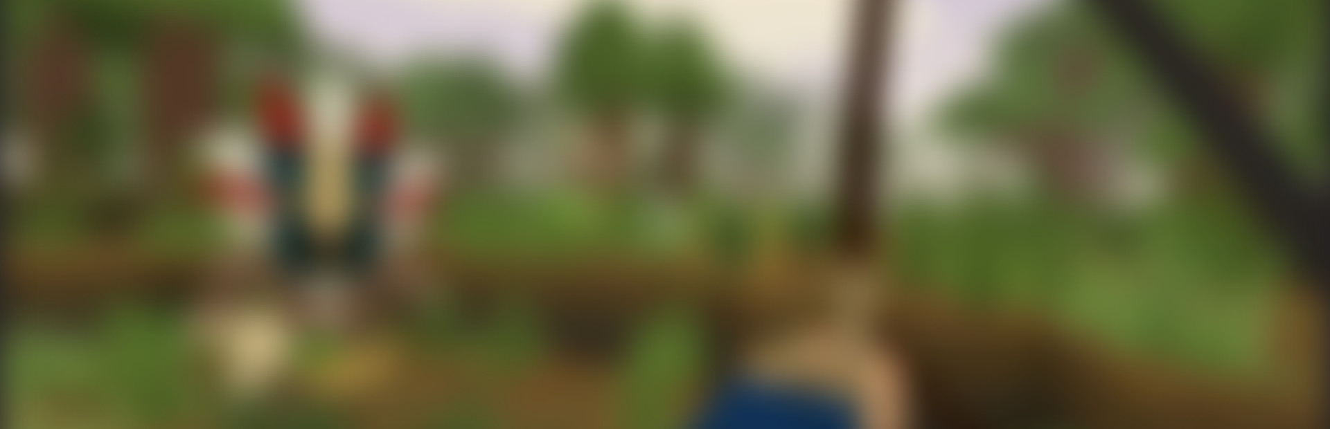 PIRATECRAFT cover art