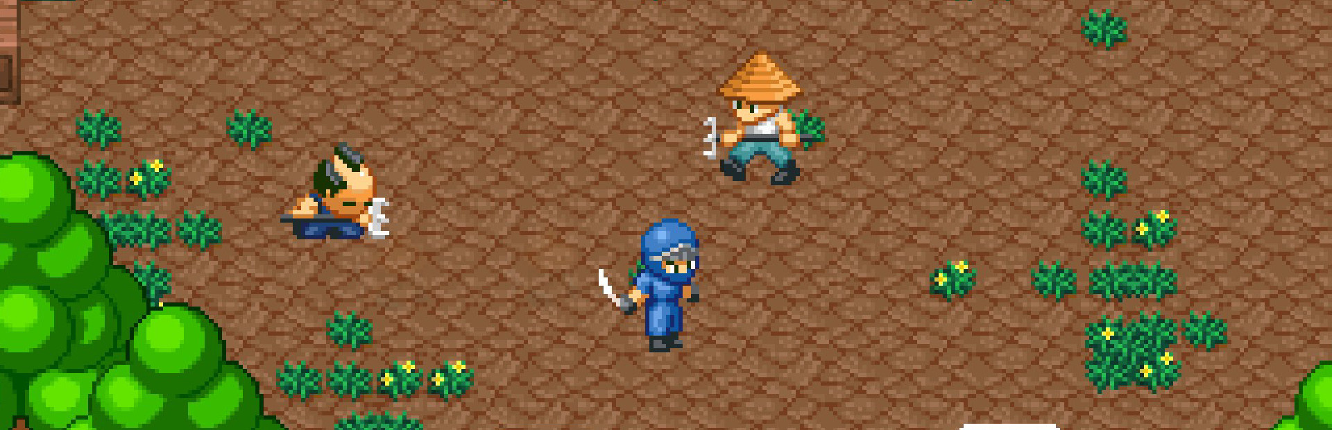 Pixel Ninja cover art