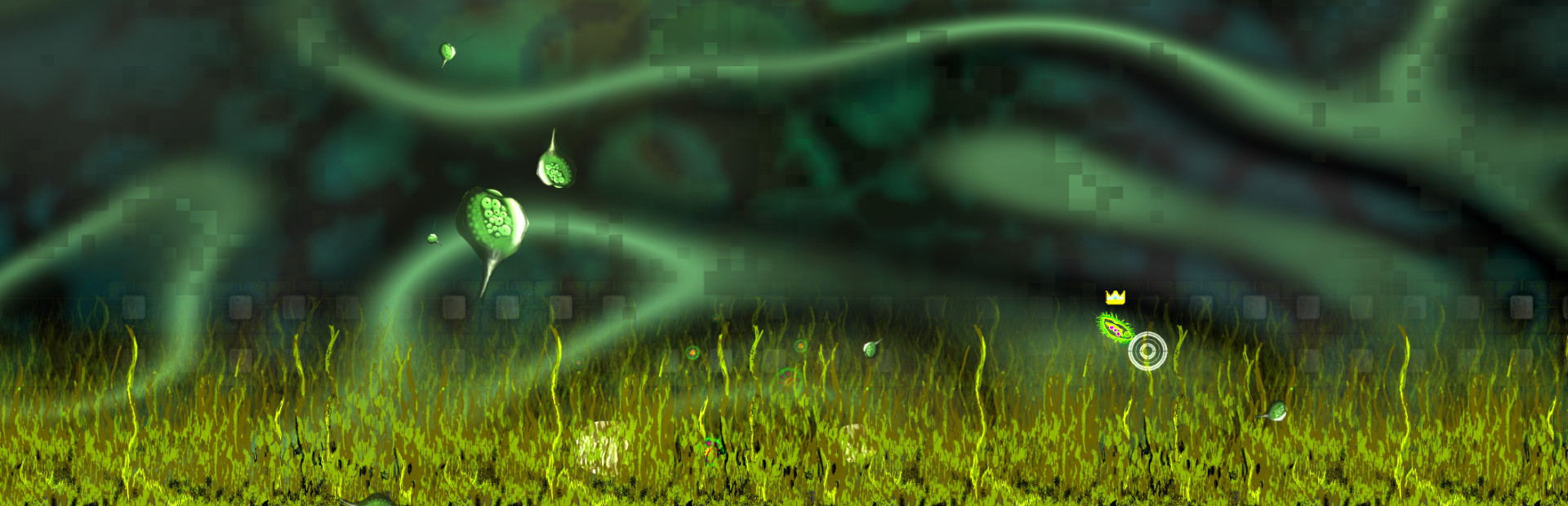 Pond Scum cover art