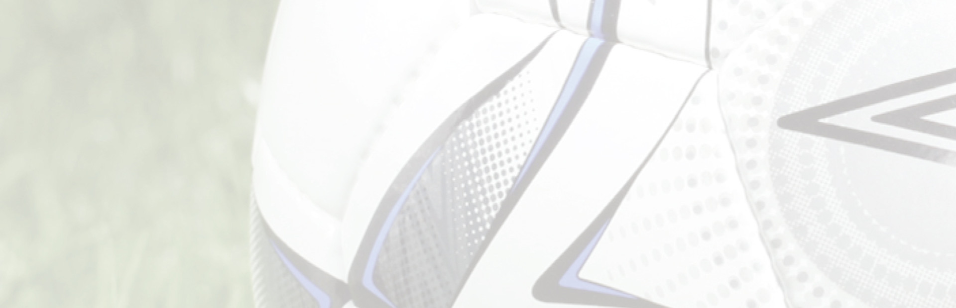 Premier Manager 08 cover art
