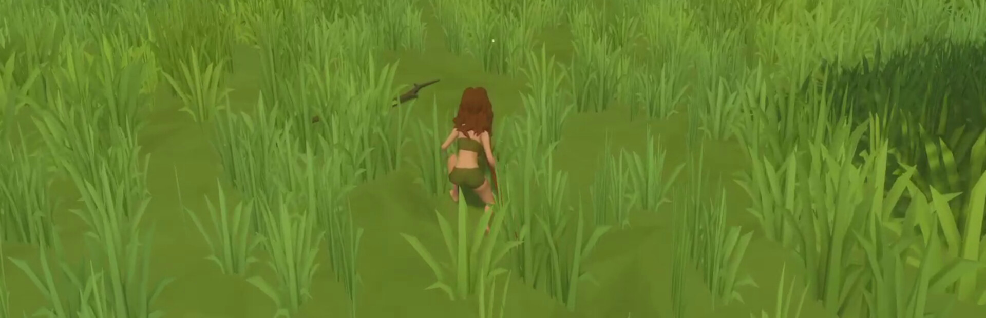 Primitive Survival cover art