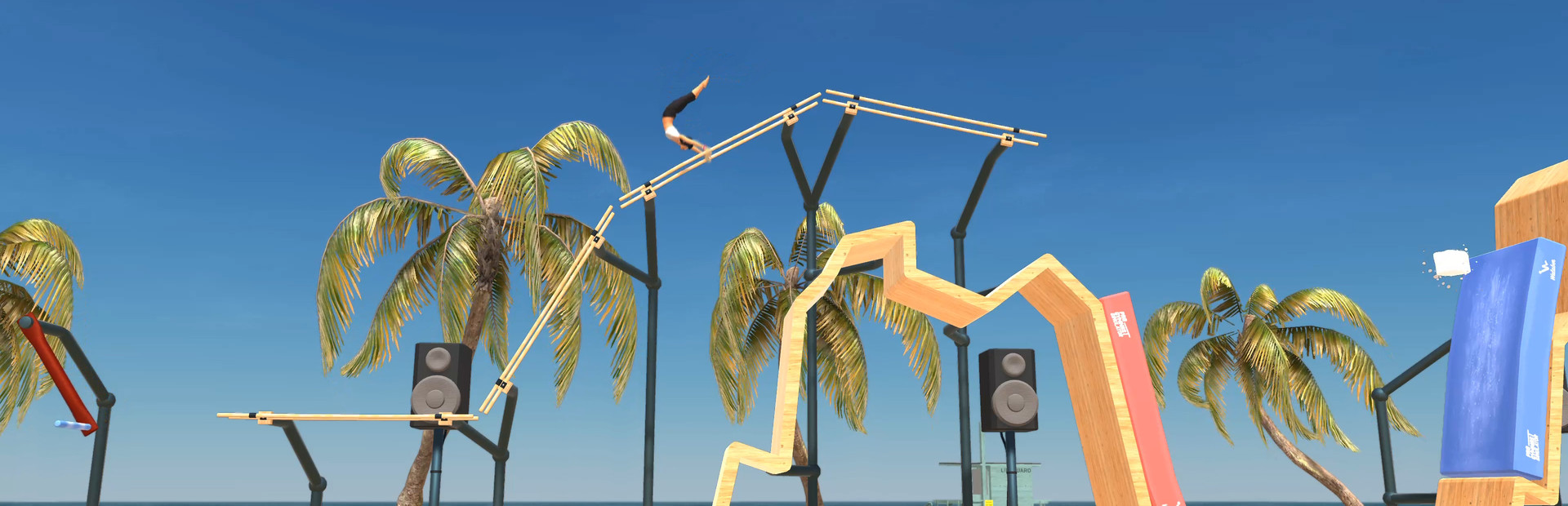 Pro Gymnast cover art