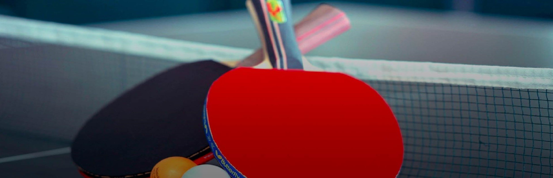 Pro Table Tennis VR cover art