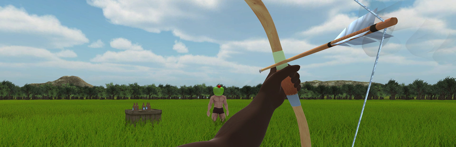 Probably Archery cover art