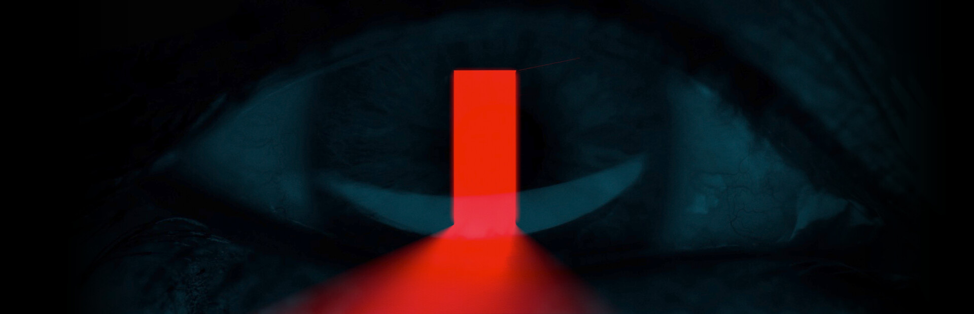 PROJECT D cover art
