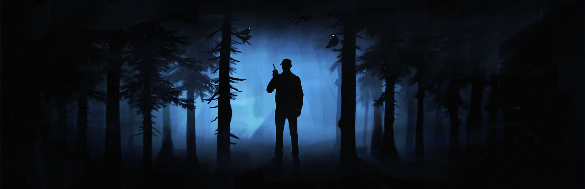 Radiolight cover art