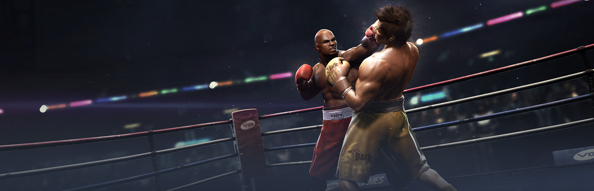 Real Boxing™ cover art