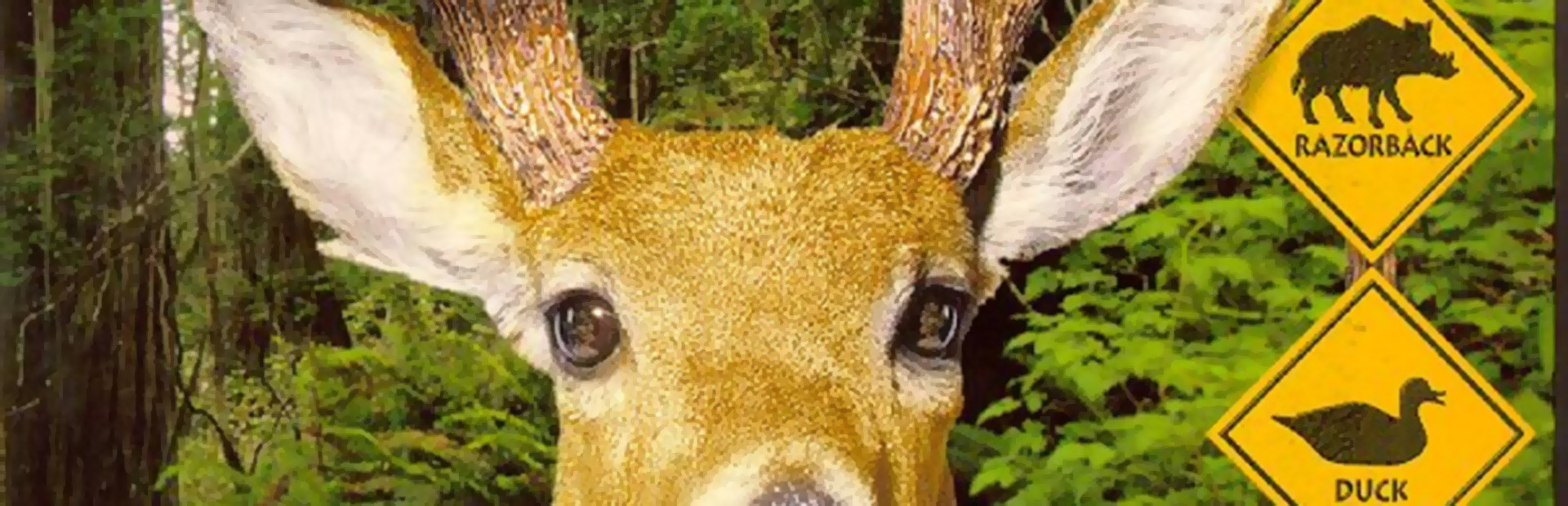 Redneck Deer Huntin' cover art