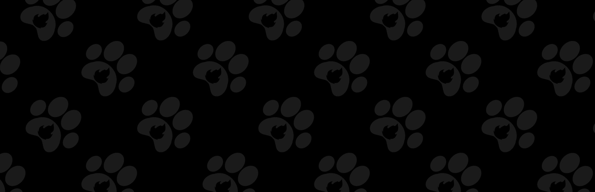 Rock Dog cover art
