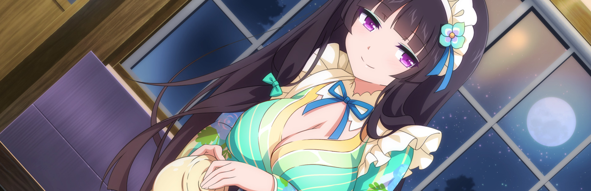 Sakura Succubus 2 cover art