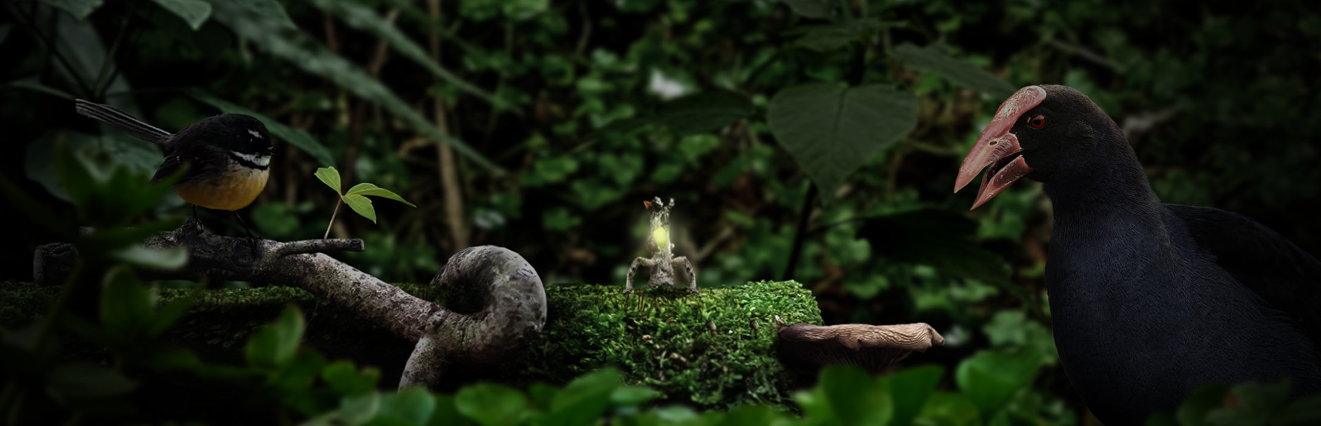 Seedlings cover art