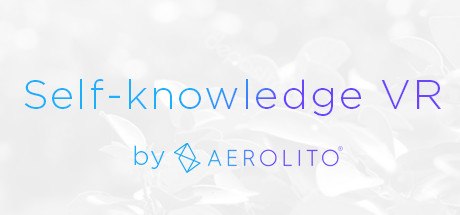 Self-knowledge VR cover art