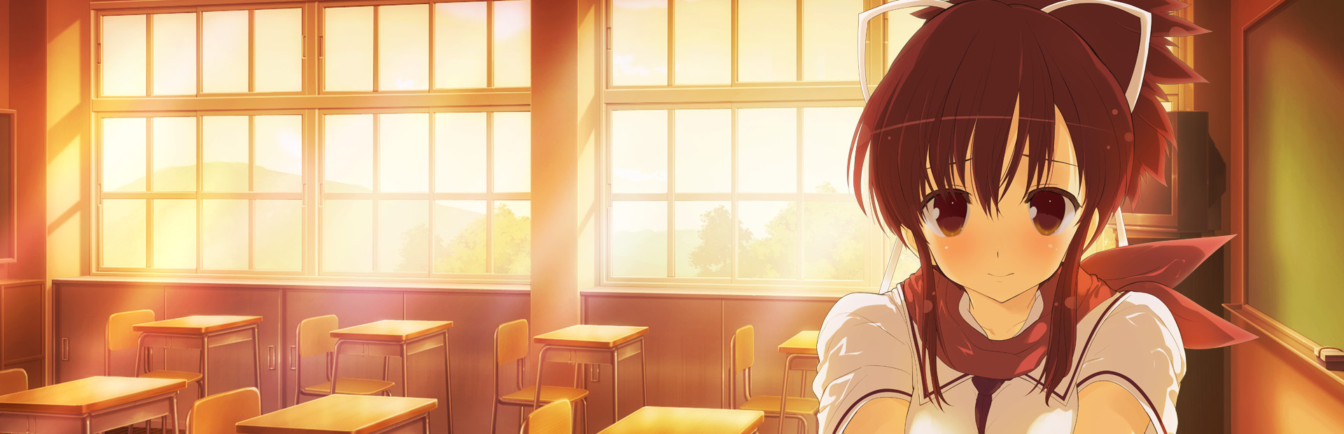 SENRAN KAGURA Reflexions cover art