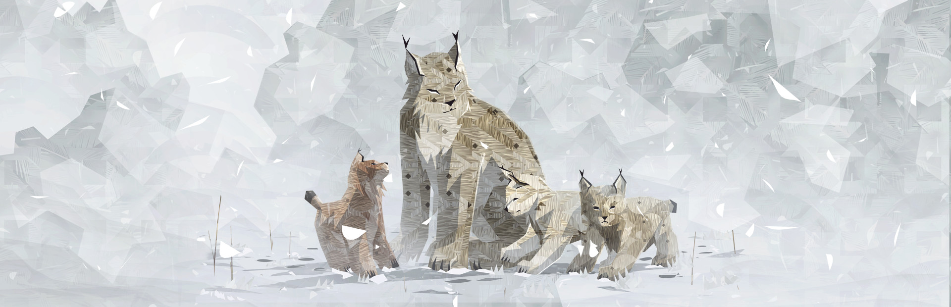 Shelter 2 cover art