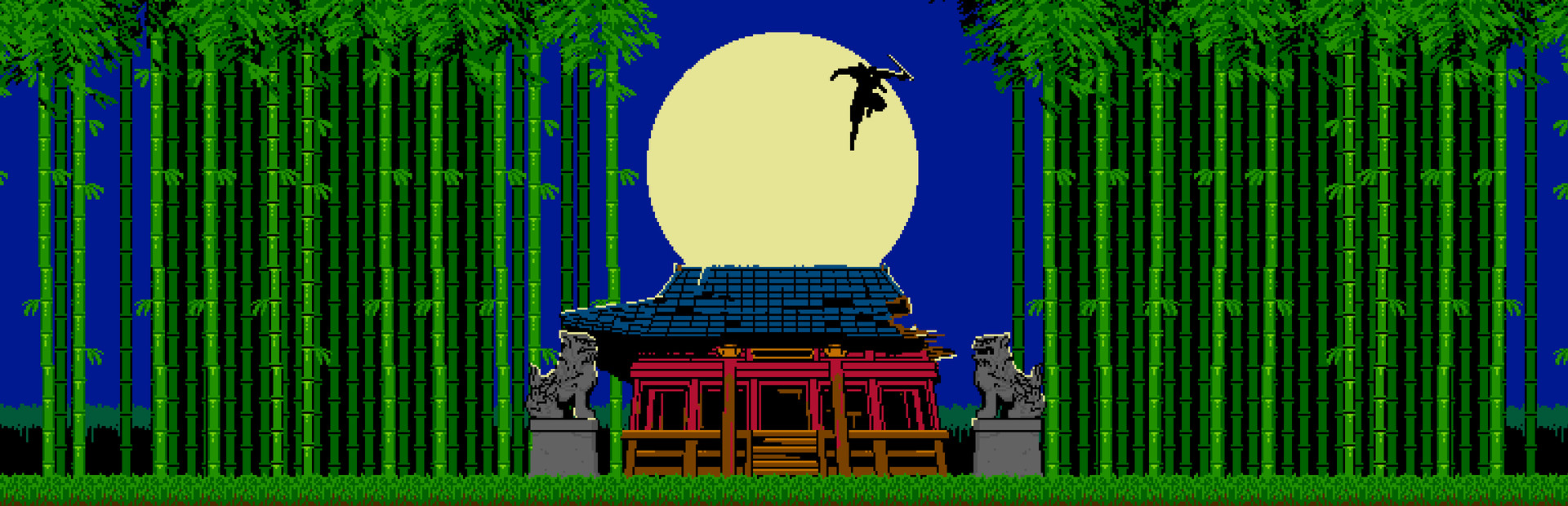 SHINOBI NON GRATA cover art