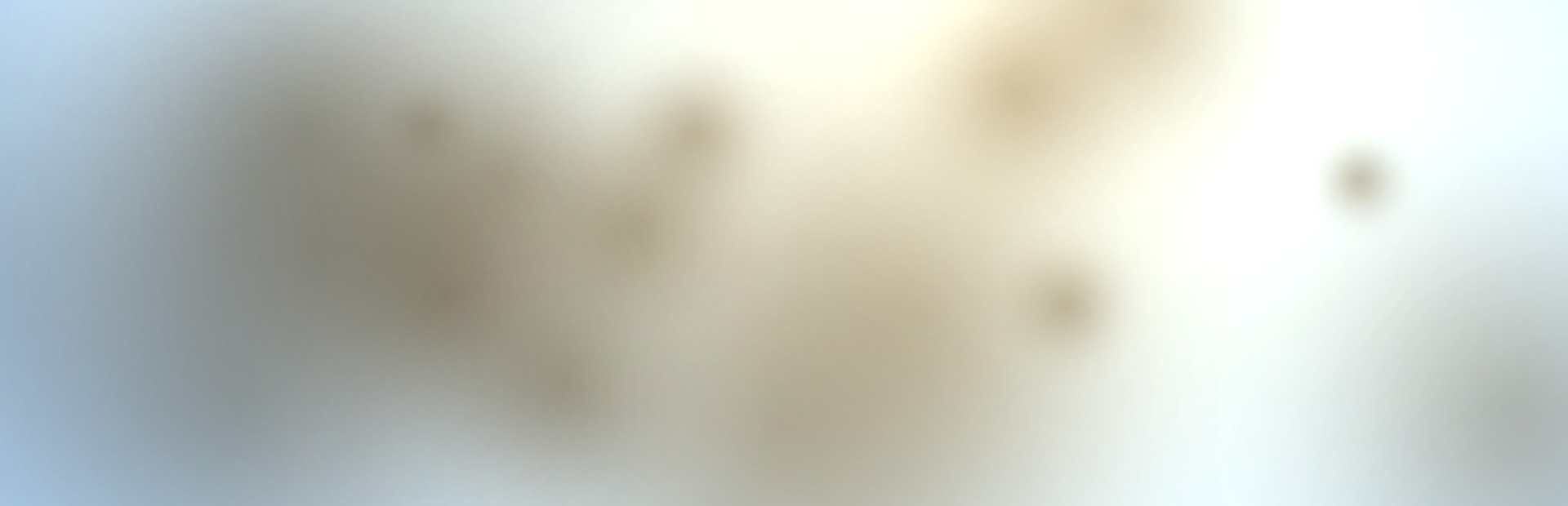 Sliver cover art