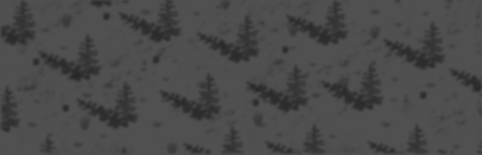 Snow Vale cover art