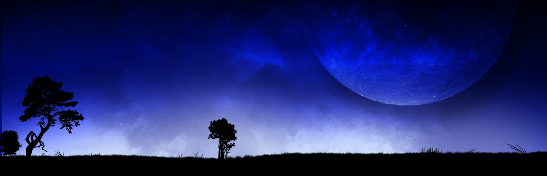 Star Sky cover art