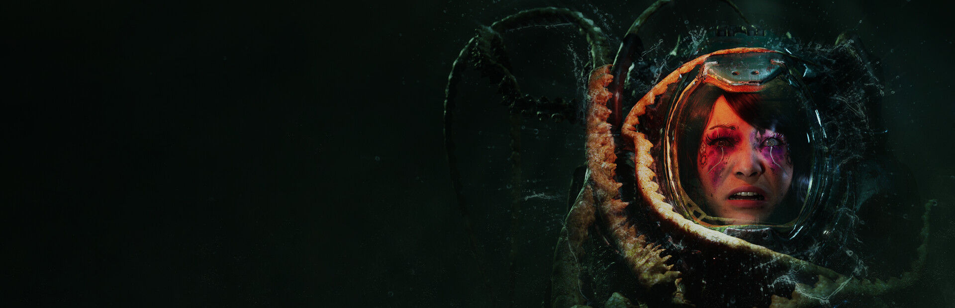 STASIS: Bone Totem cover art
