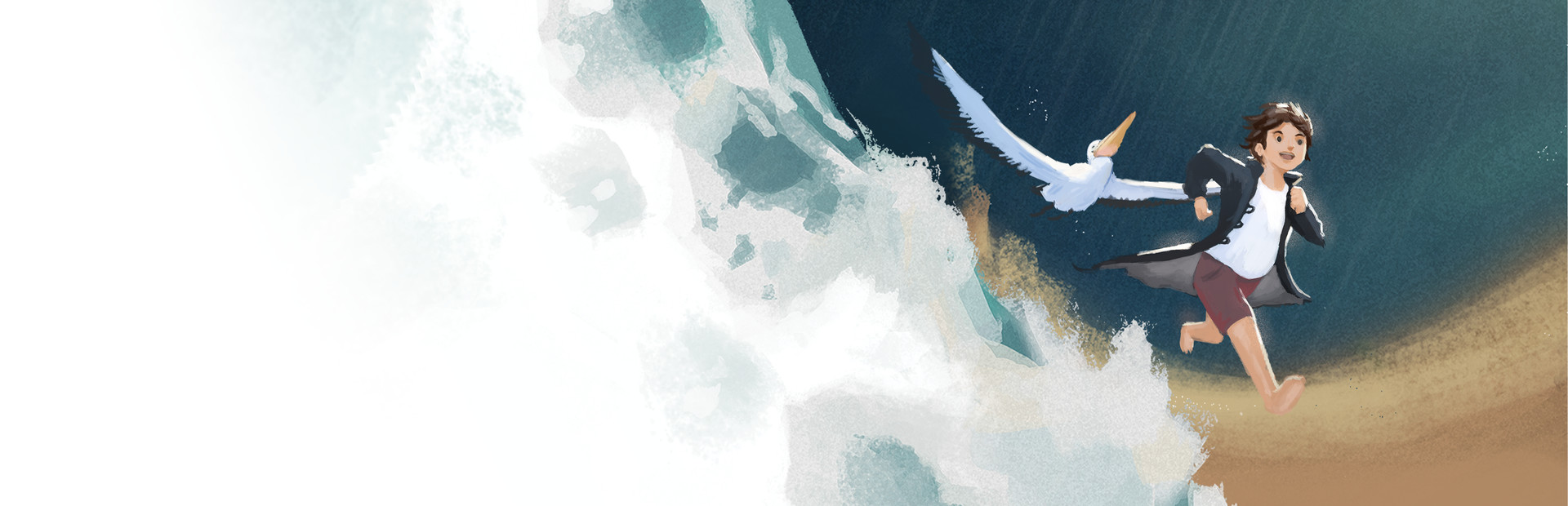 Storm Boy cover art