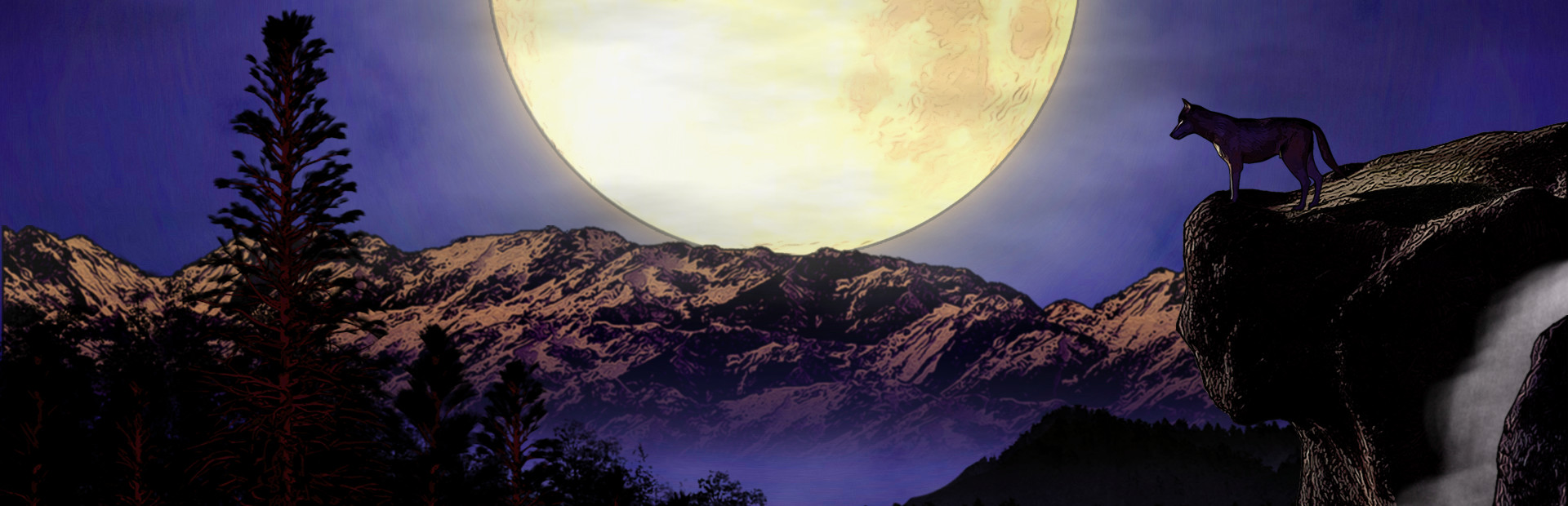 Summit of the Wolf cover art