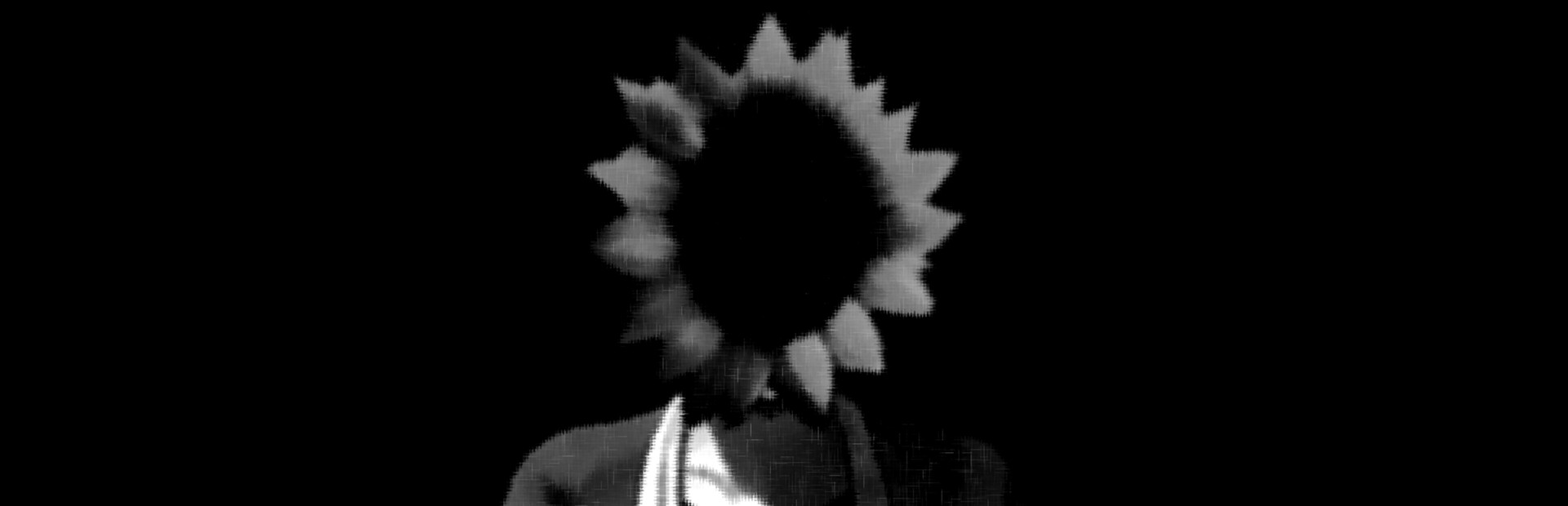 Sunflower cover art