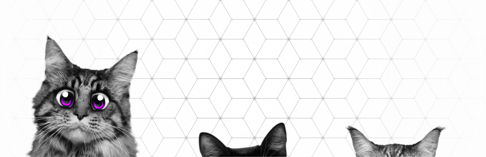 Super Web Kittens: Act I cover art