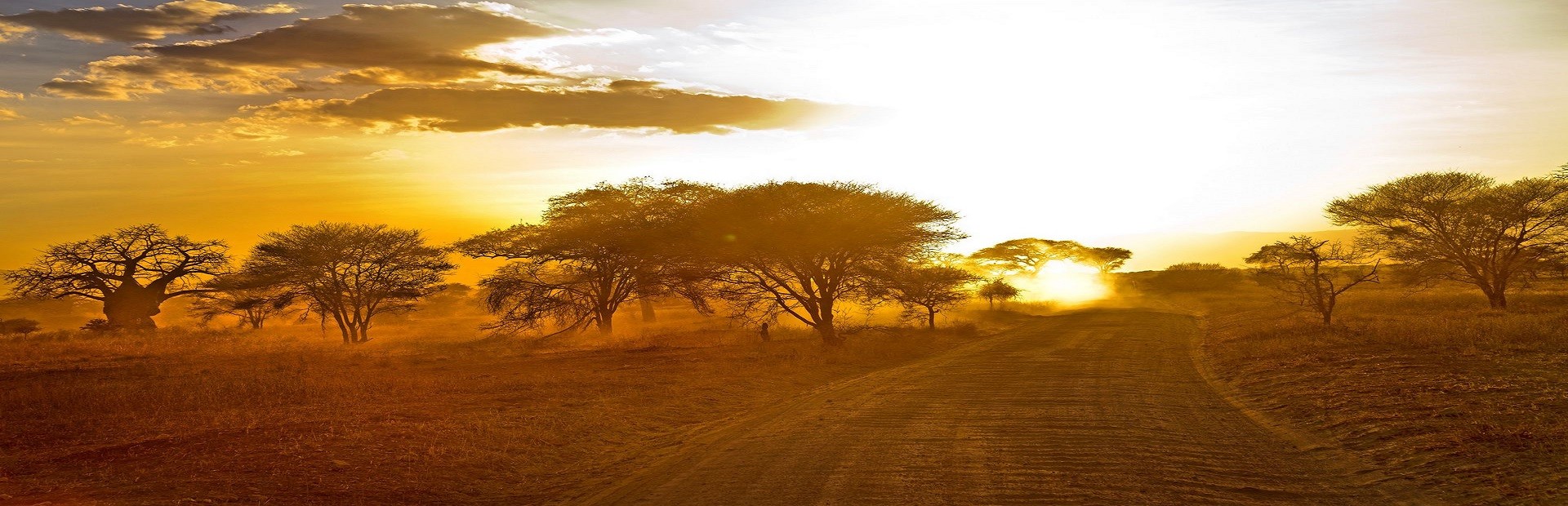 Survival Africa cover art