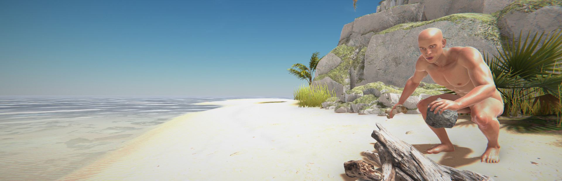 Survival Simulator cover art