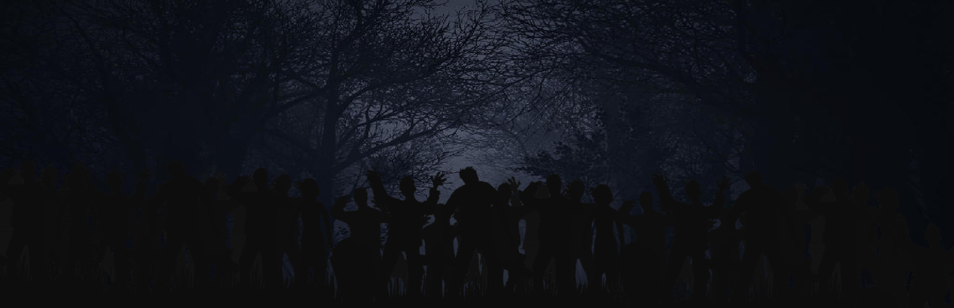 Survive Into Night cover art