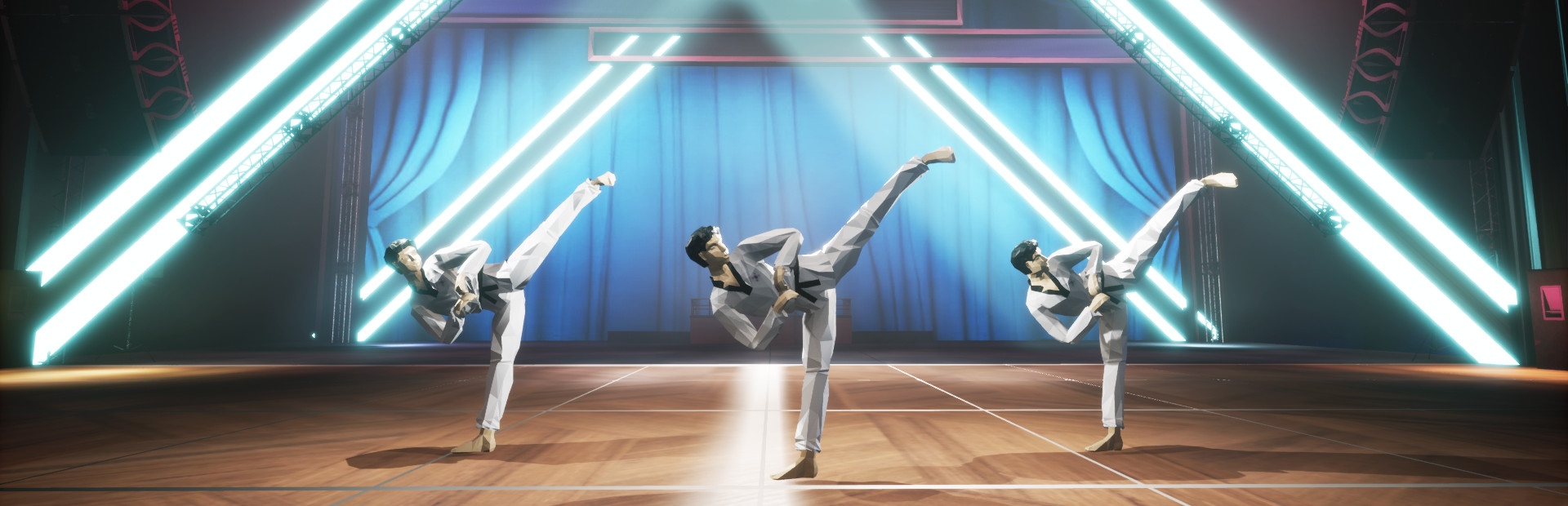 Taekwondo Demonstration Team Simulator cover art