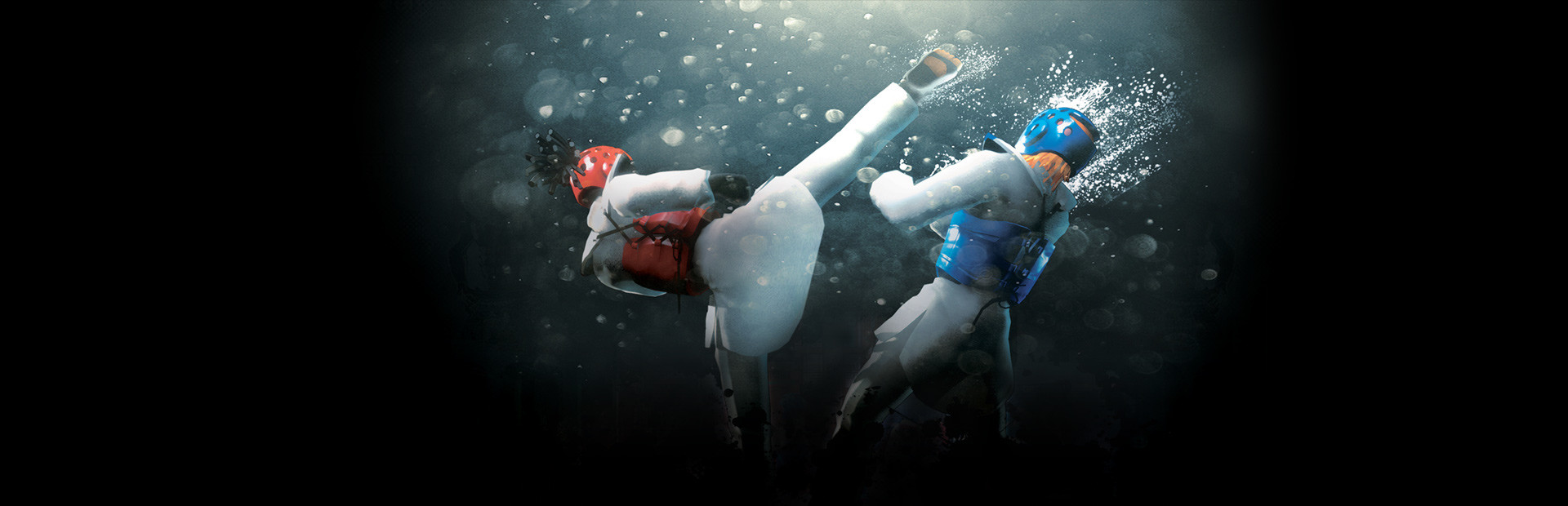 Taekwondo Grand Prix cover art