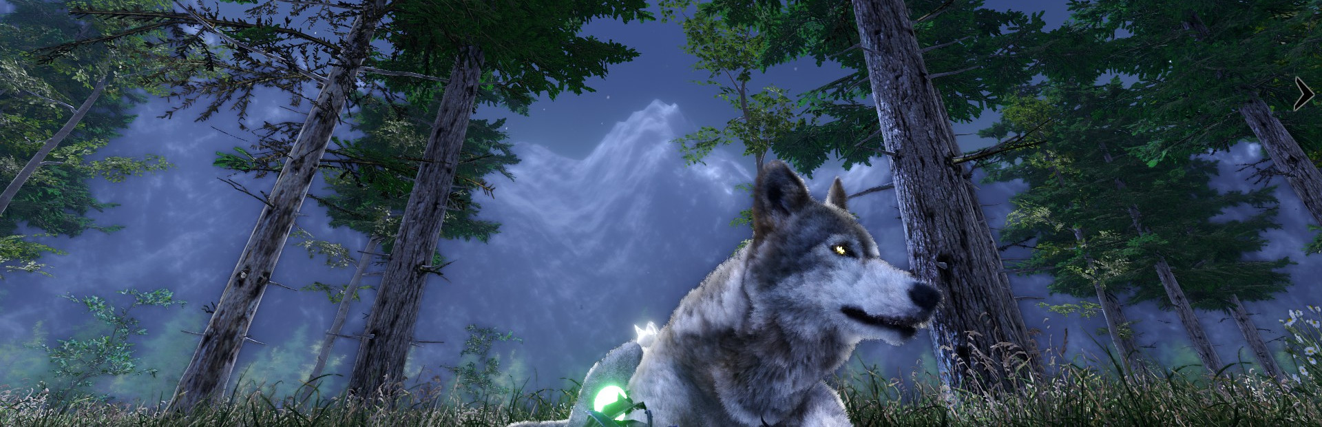 Tale Of A Wolf cover art