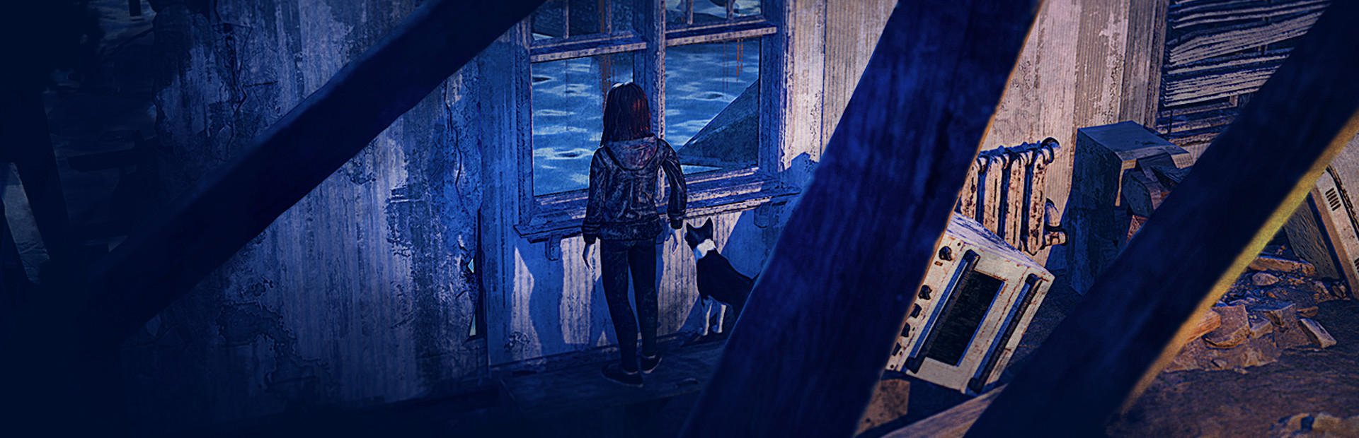 The day after cover art