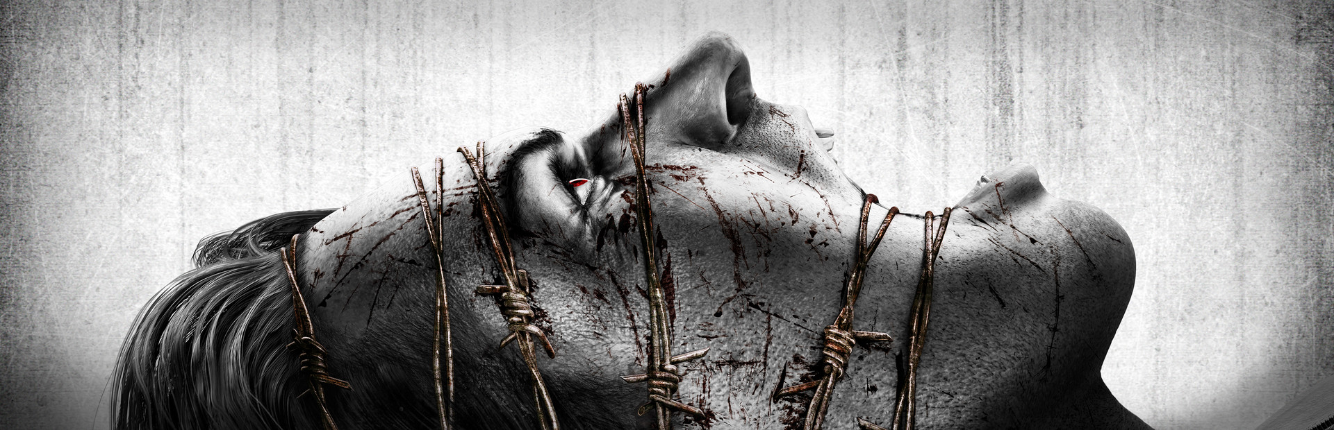 The Evil Within cover art