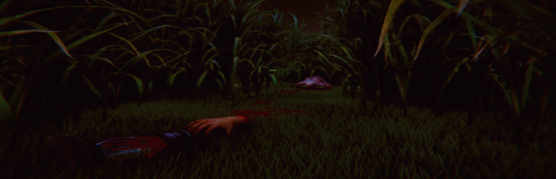 The Grass cover art