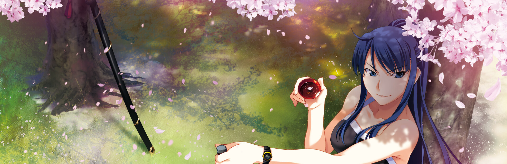 The Labyrinth of Grisaia cover art