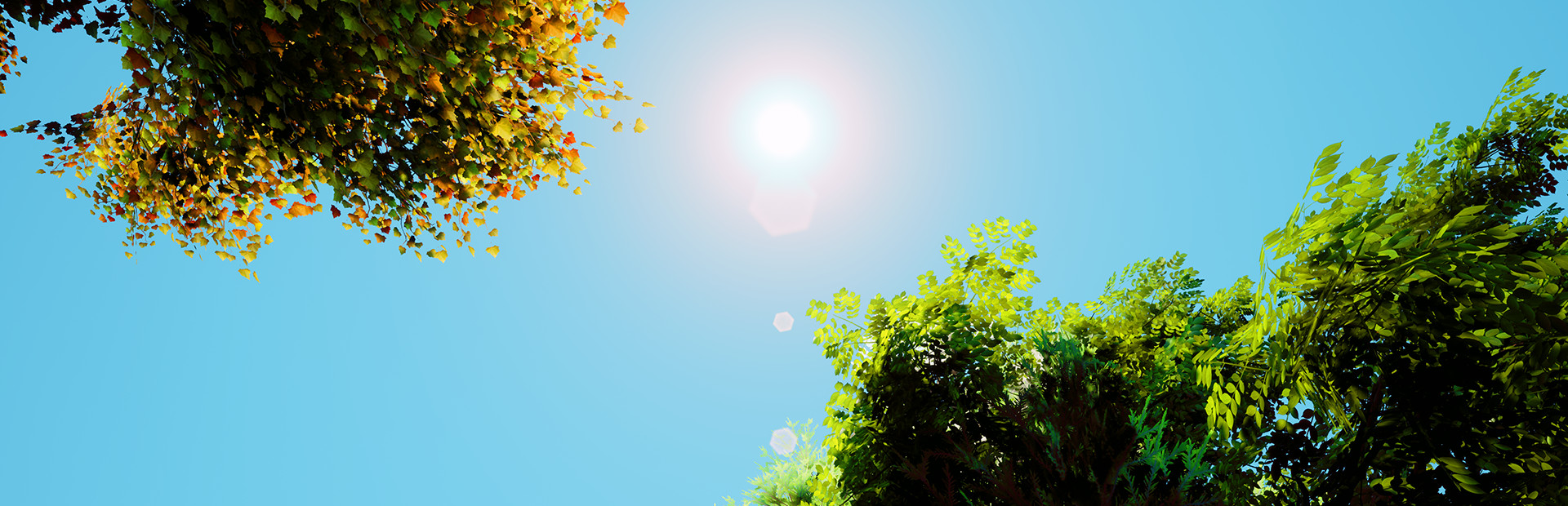 The Seasons Collection: Spring cover art