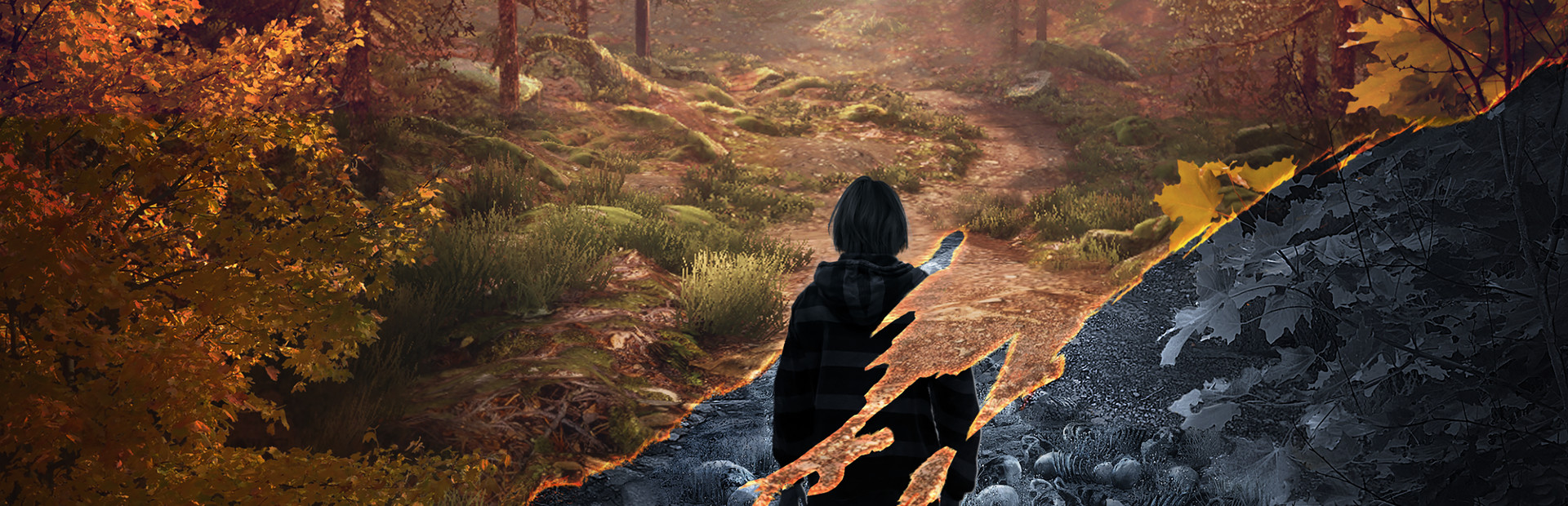 The Vanishing of Ethan Carter cover art