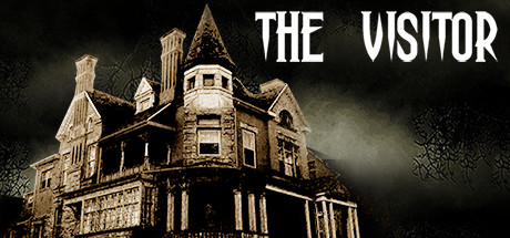 The Visitor cover art