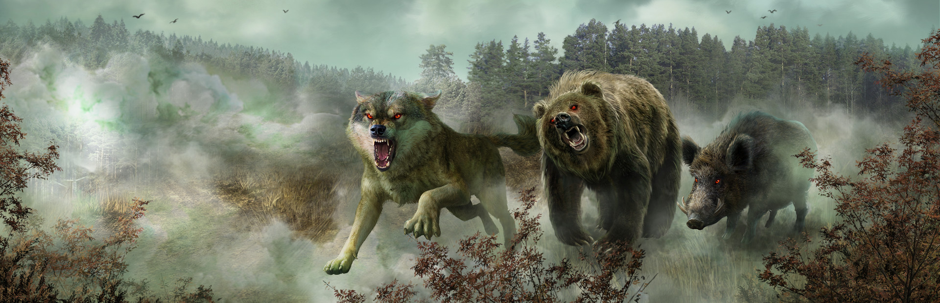 The Wild Case cover art