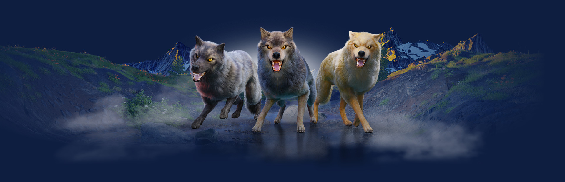 The Wolf cover art